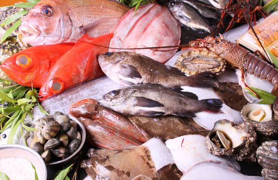 頼れる仲卸業者から魚介類を購入したい場合に | 奈良で鮮魚のことなら株式会社山小商店